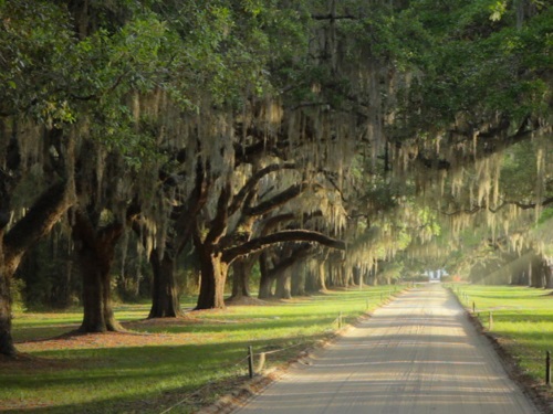 Boone Hall Plantation